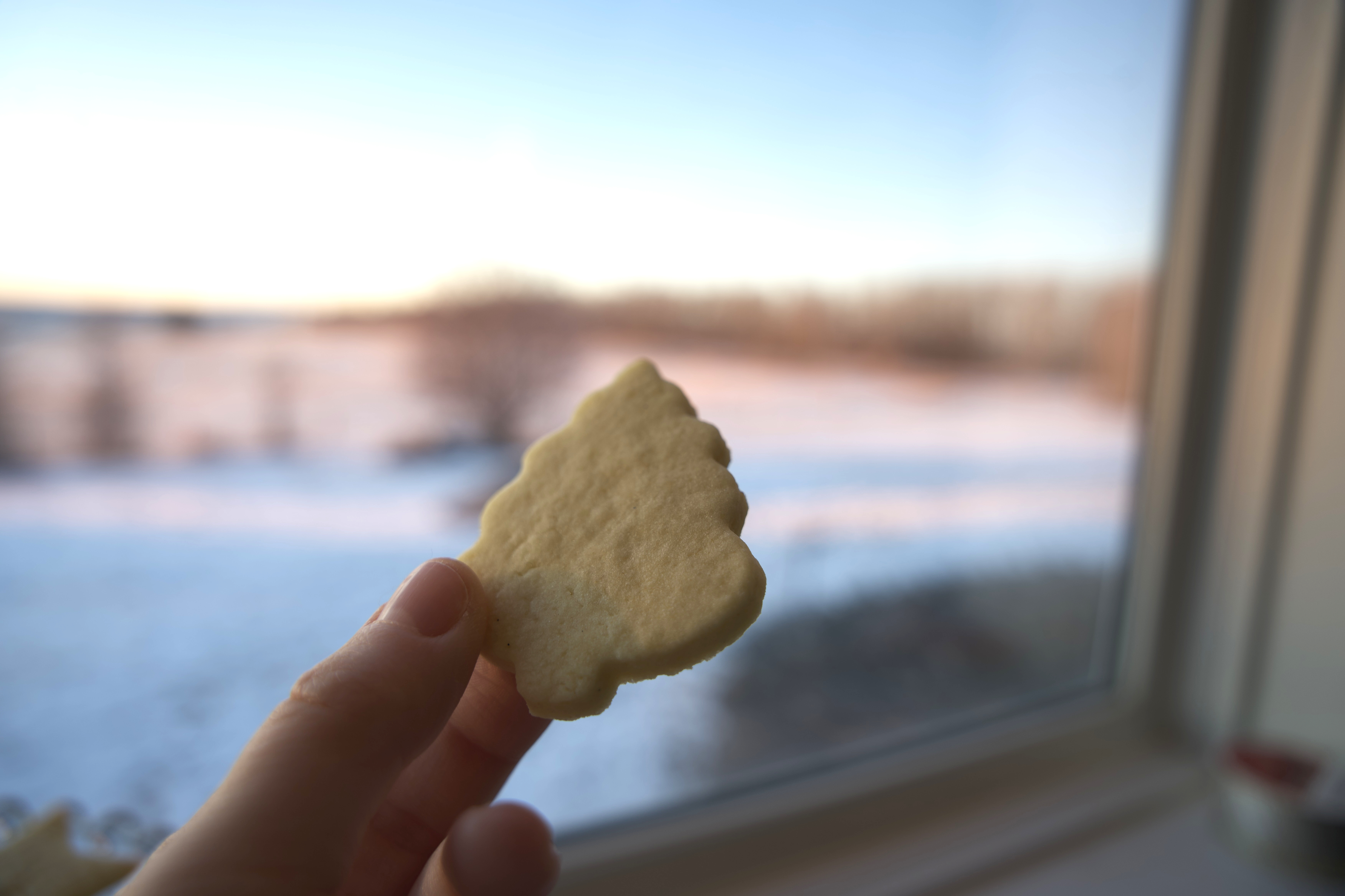 Tree shaped bare sugar cookie being held in front of window with snowy background. 