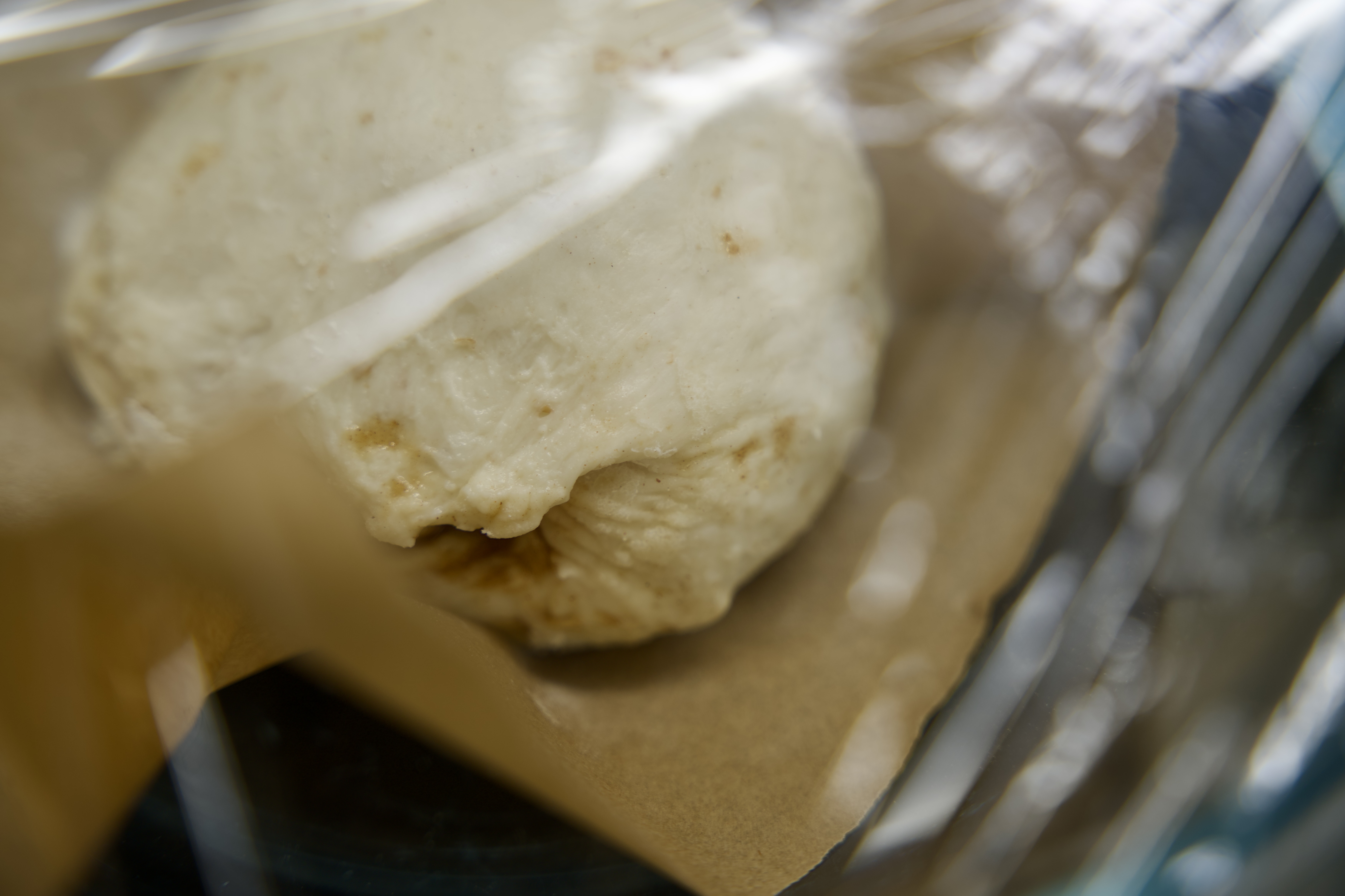 proofing dough in a bowl with Susan wrap