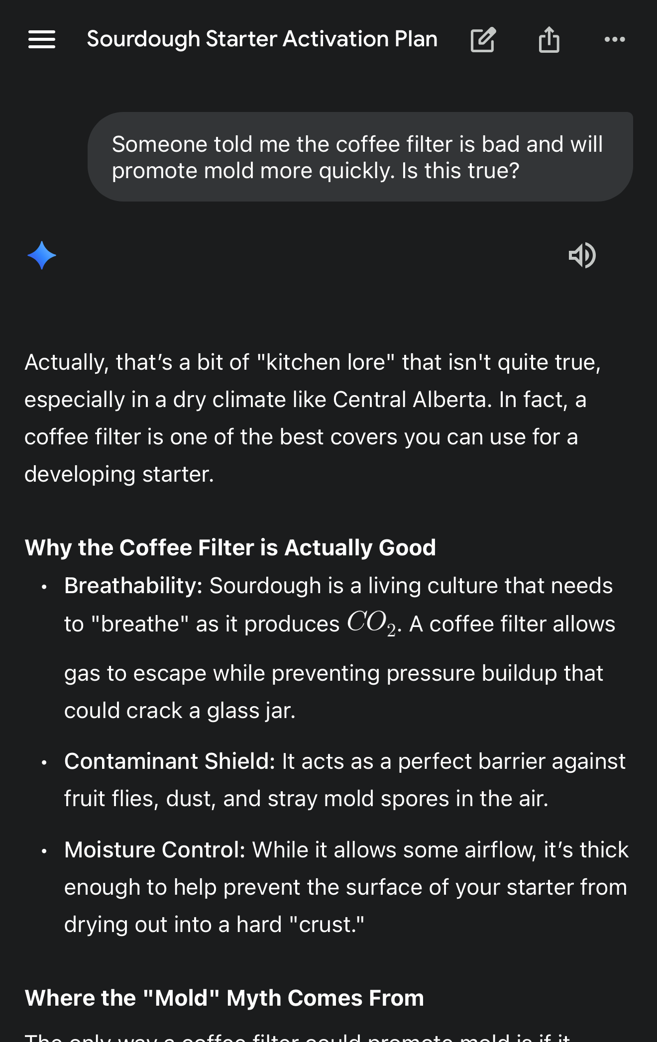 coffee filter chat with gemini 