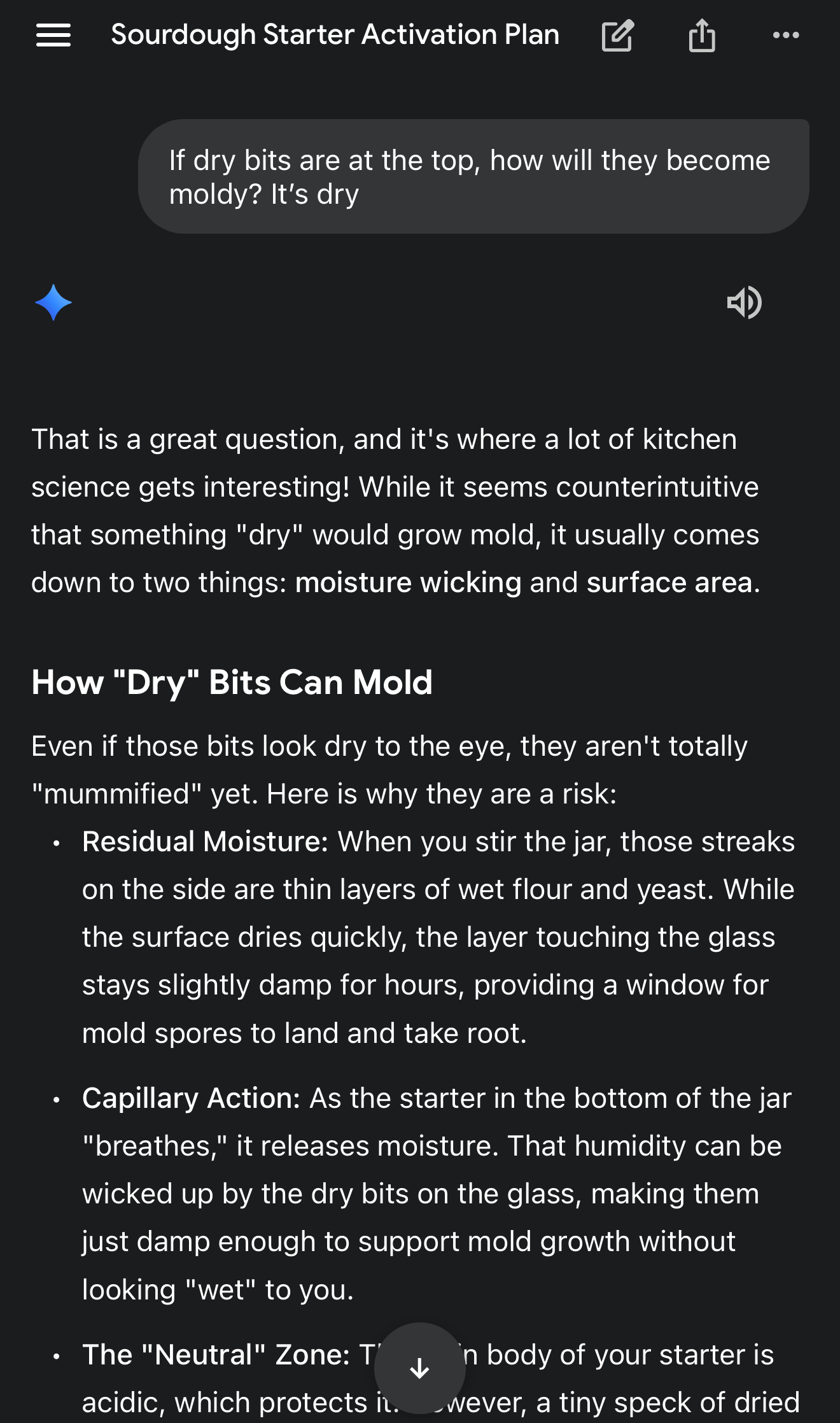 dry bits moldy chat with gemini 