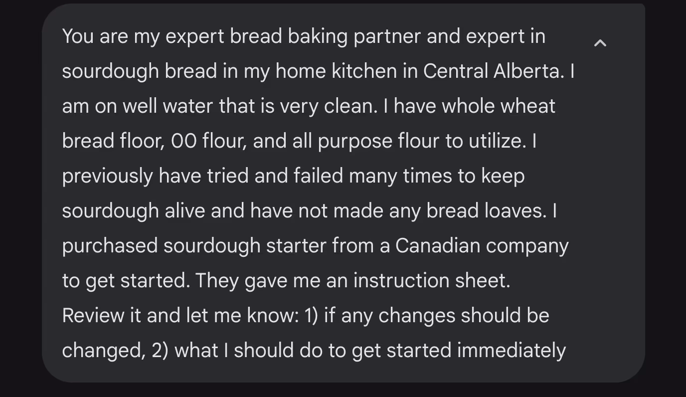 Gemini convo around sourdough starters and what to do for this one.