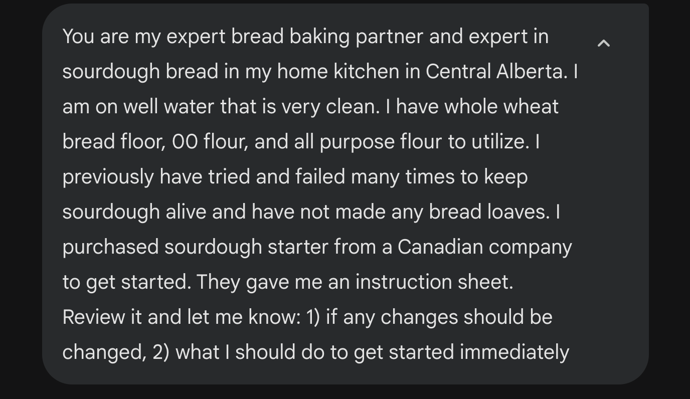 Gemini convo around sourdough starters and what to do for this one. 